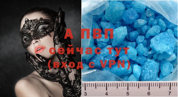 стафф Алексин