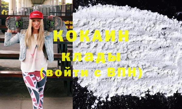 стафф Алексин