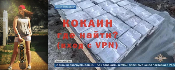 стафф Алексин
